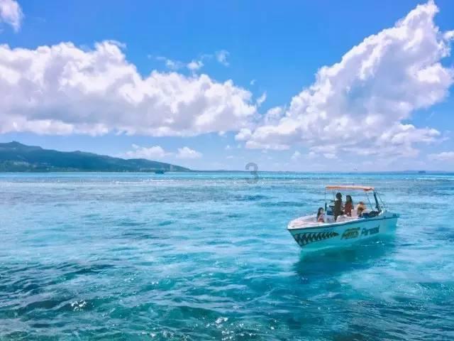 虫虫助手下载
